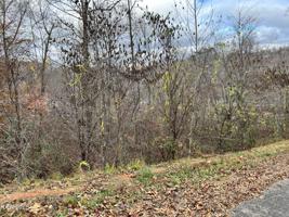 Lot #206 Waterside Lane
