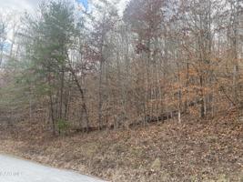 Lot 17 Mountain Shores Rd