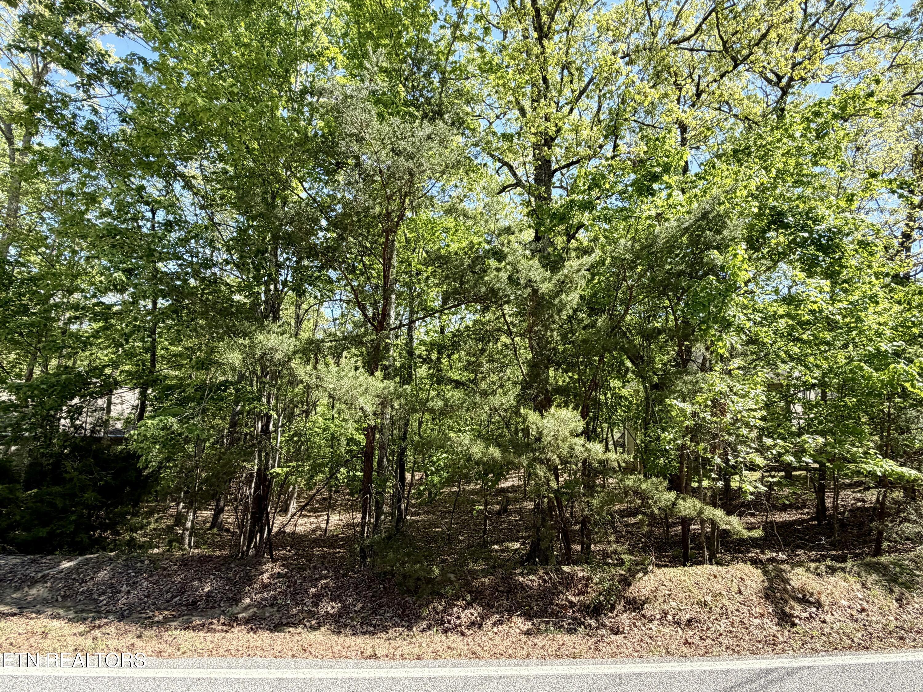 Image 1: 142 Mariners Drive