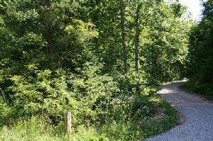 000 THREE POINT Rd