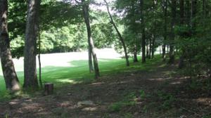 131 Pineridge Loop 22