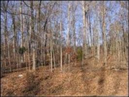 Lot 12 Kawga Way 12