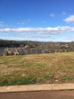 195 Hummingbird Lane 1010