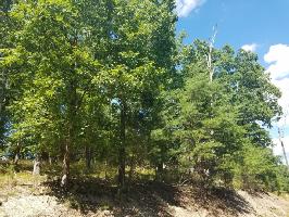 1421 Echota Lane 172