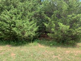 lot 21 Dudi Tr