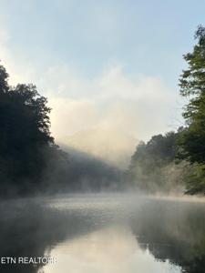 17.7 Acre Mountain Shores Rd