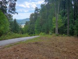 Lot 6 Bayside