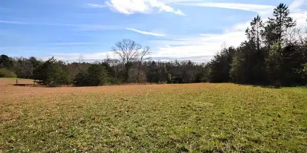 4.08 Acres Rose Robinson Lane
