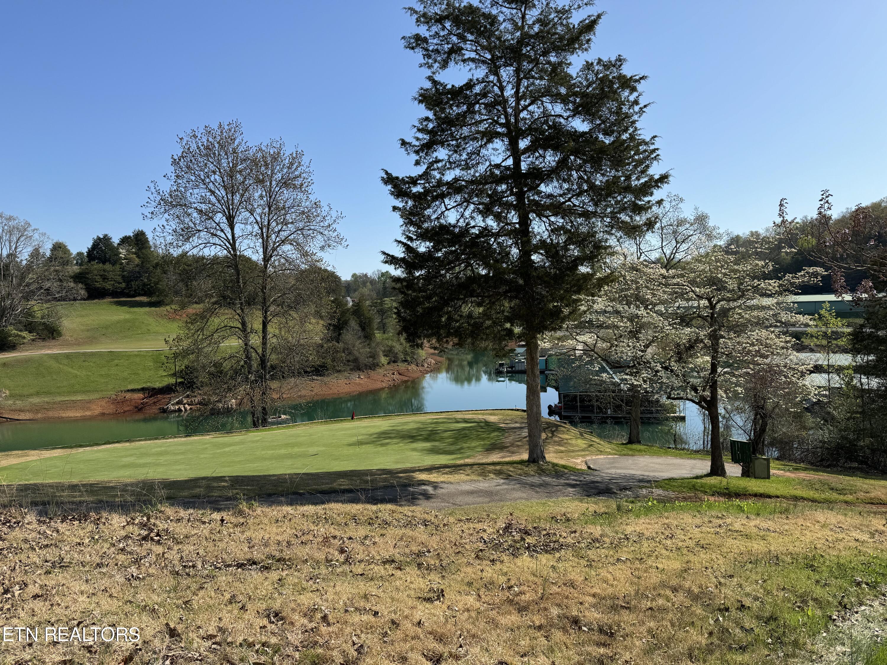 Image 3: Lakefront Lot