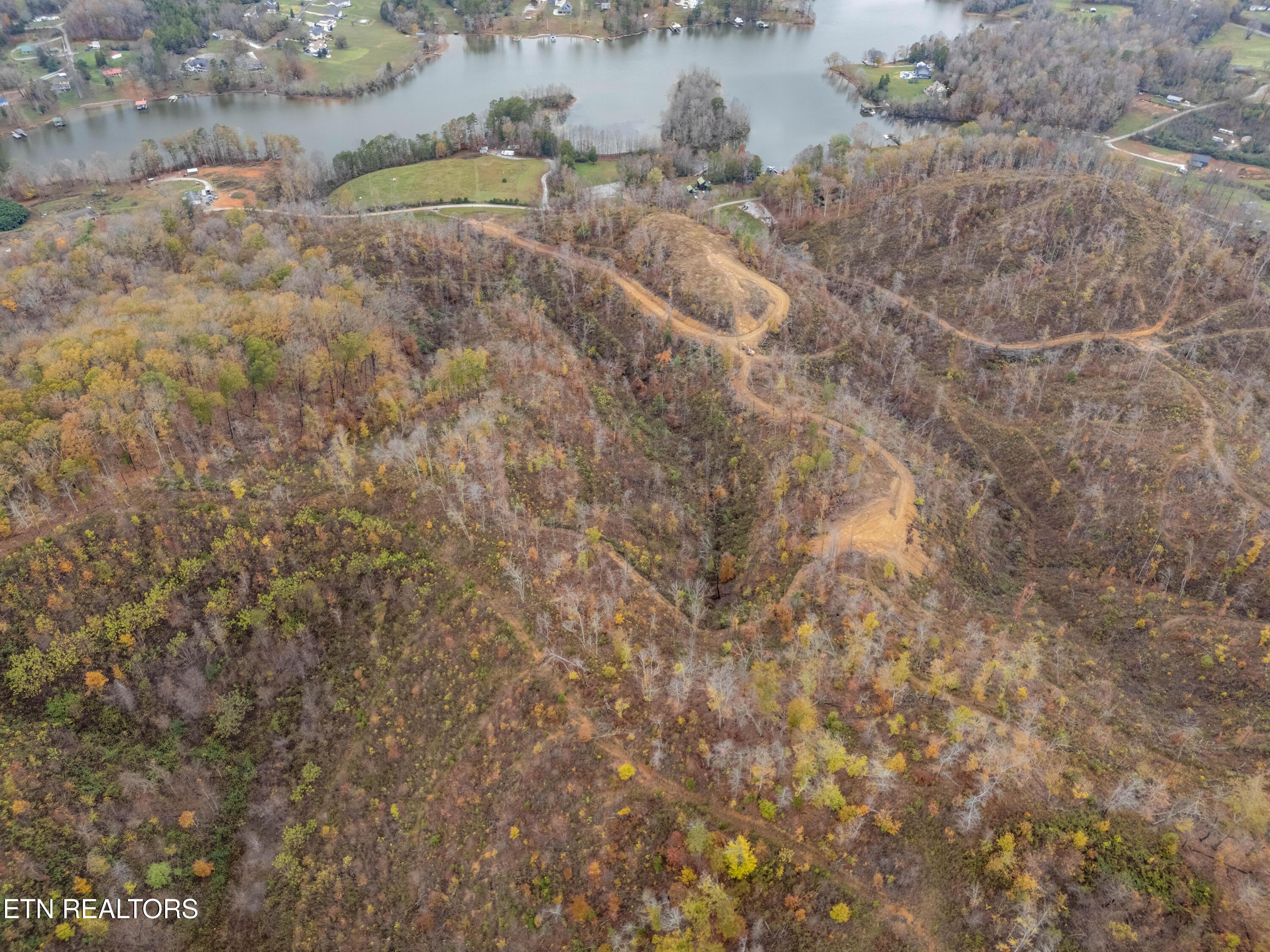Image 1: DJI_20241114153730_0131_D-HDR