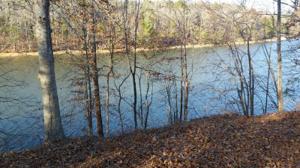 204 E Cove Drive 28