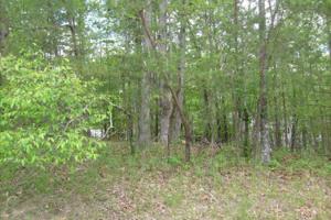133 Valarian Drive 29