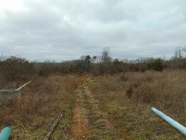 Mountain Meadow Lane