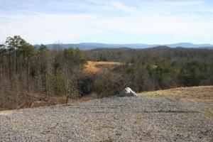 Old Citico Rd