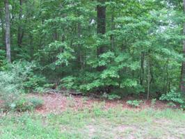 103 Ivy Brook Lane 264