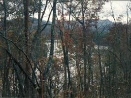 Lot 4 &5 Scenic River Rd