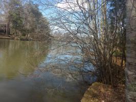 145 Hedgewood Point