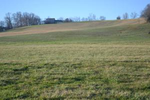 Lot 155 Gunnies Drive