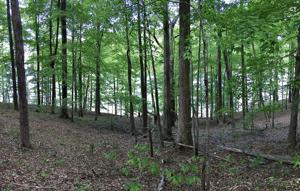 Lot 9 Deer Run Circle