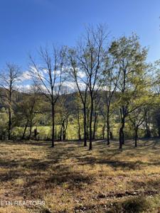 Miller Hollow Lane