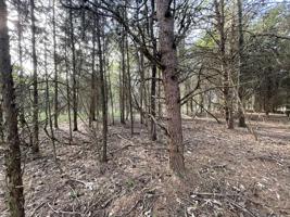 Lot 15 Gohi Trail