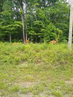 152 Beachwood Drive