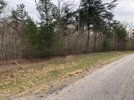 Lot 11 Mountain Ash 201 Drive