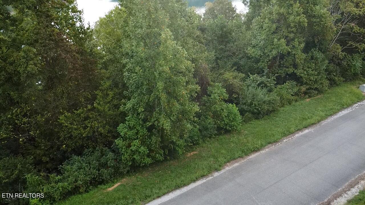 Image 4: 2023-09-09-18-19-16-460 (1)