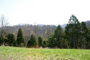 2024 Turners Landing Rd 24