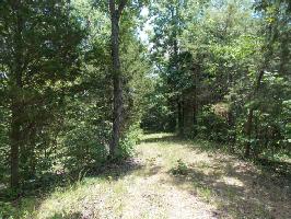 Lot 2 Brewer Rd 2