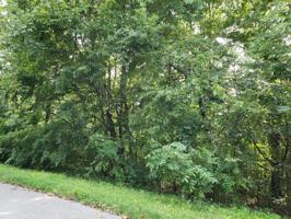 228 Nicoma Drive 2