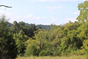lot 3 Welch Rd
