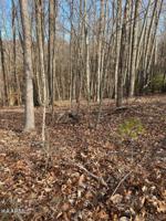 124 Pineridge Loop