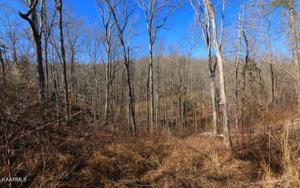Lot 8 Tract 8 Bill Moser Rd