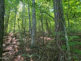 Lot 142 Whistle Valley Rd
