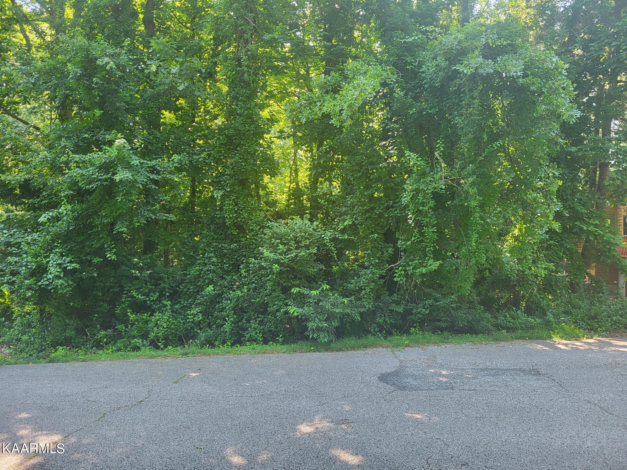 Image 1: 15 Newcom lot listing pic