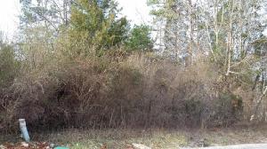 212 Mingo Way 4