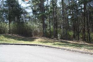 772 Wood Duck Drive 137
