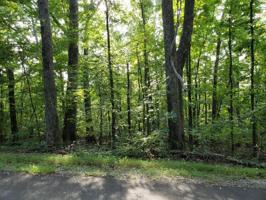206 Oostanali Way 18