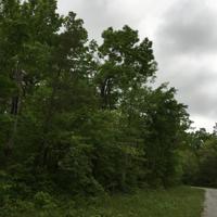 8652 Cherokee Tr