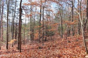 Lot 86 Norris Shores Drive