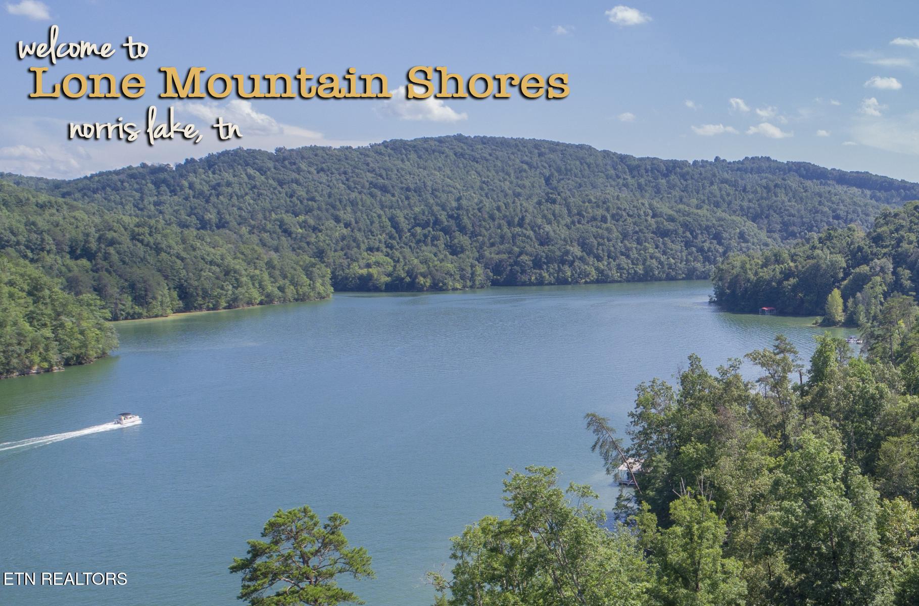 Image 3: Welcome to Lone Mtn Shores, Norris Lake