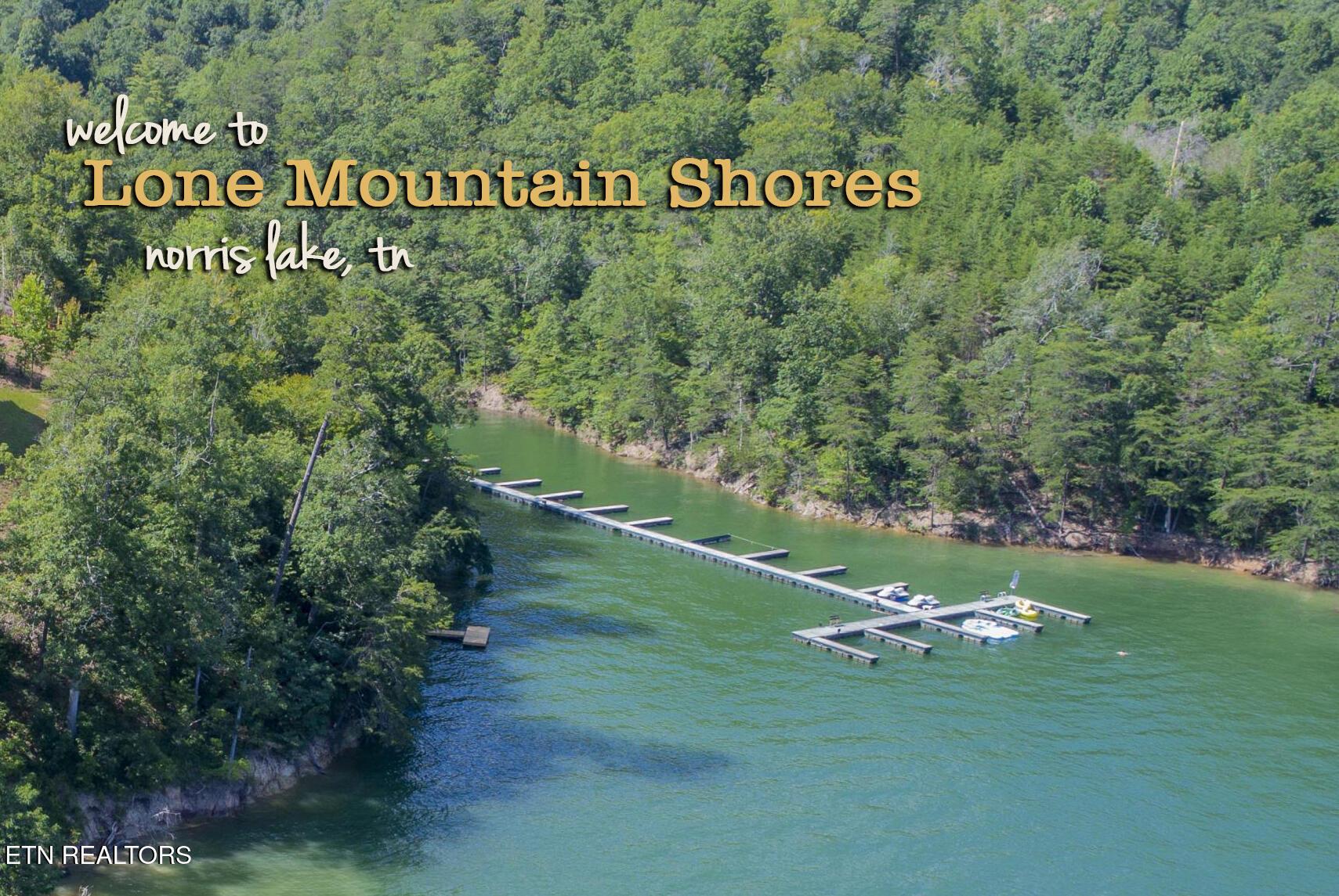 Image 4: Welcome to Lone Mtn Shores, Norris Lake