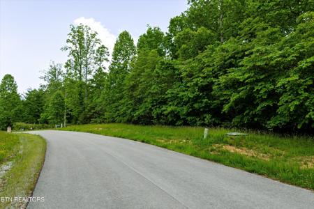 Lot 240 Tanzanite Trail