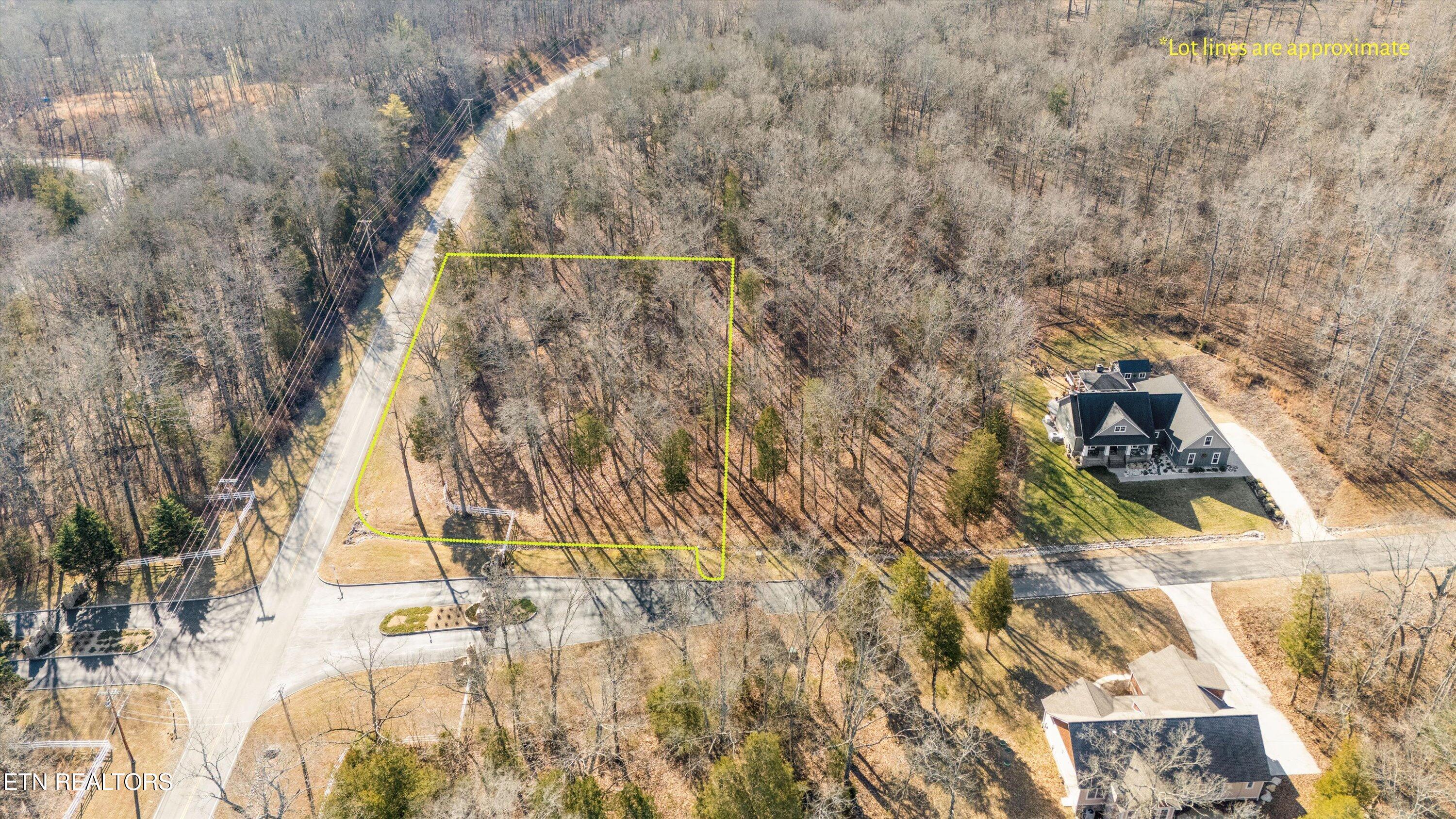 Image 2: 02-380 Walking Horse Trail Lot 515-16