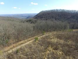 65 Acres East Short Mountain Road