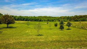 Lot 19 Kahite Trail