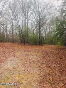 25 Dalefield Loop