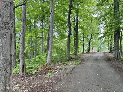 Lot TR69 Smokeys Point