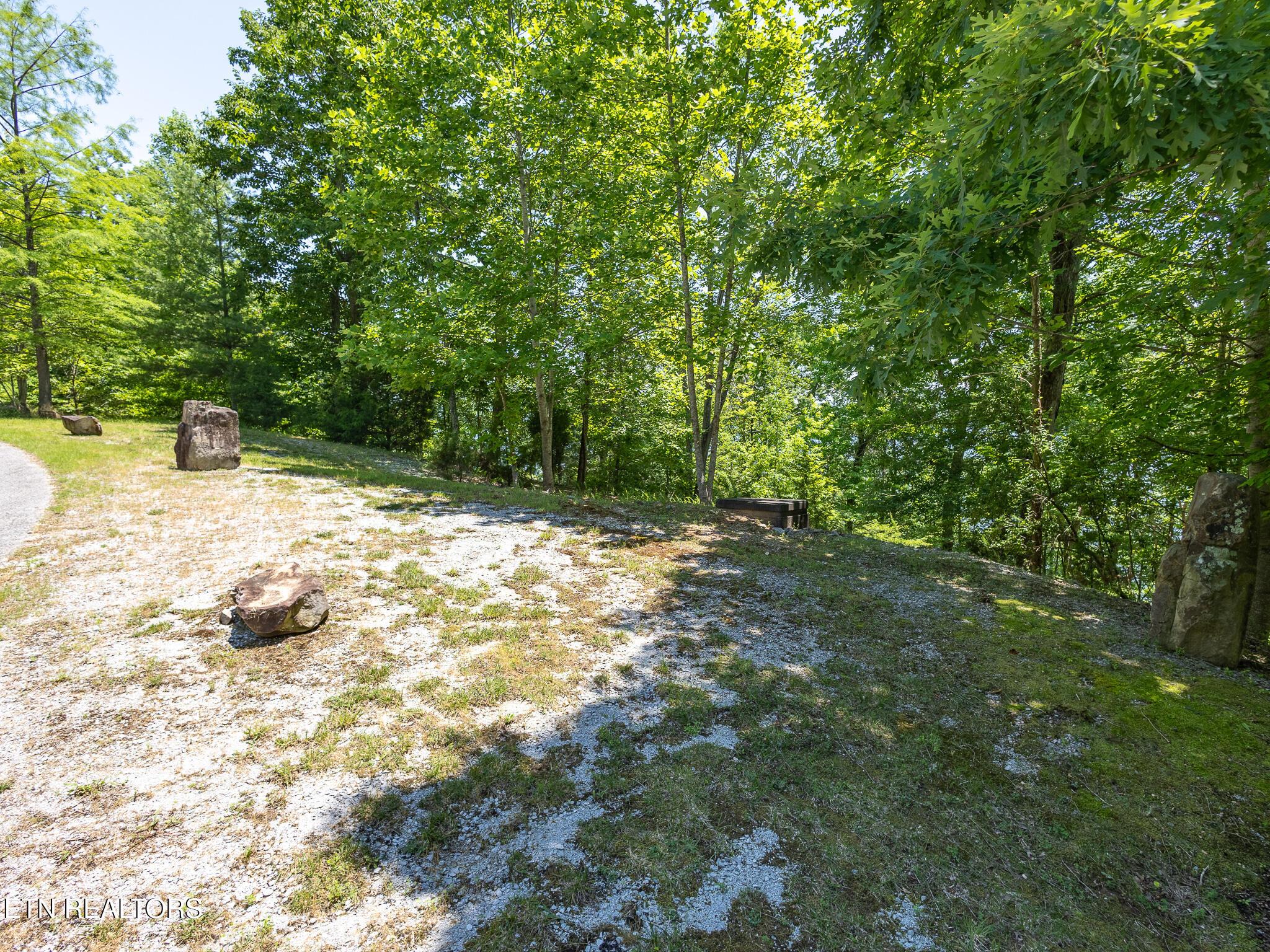 Image 4: A-14